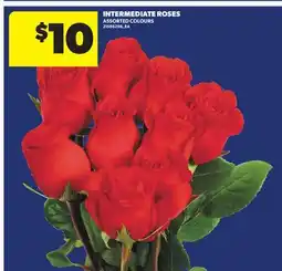 Real Canadian Superstore INTERMEDIATE ROSES offer