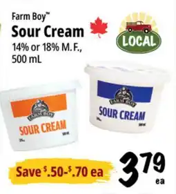 Farm Boy Farm Boy Sour Cream offer
