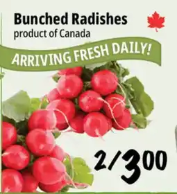 Farm Boy Bunched Radishes offer