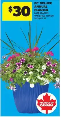 Real Canadian Superstore PC DELUXE ANNUAL PLANTER, 11 INCH offer