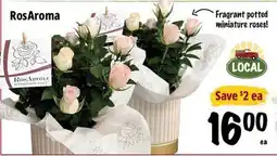 Farm Boy RosAroma offer