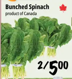 Farm Boy Bunched Spinach offer