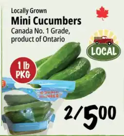 Farm Boy Mini Cucumbers offer