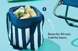 Real Canadian Superstore Everyday Essentials 30 Can Tote Cooler offer