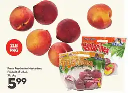 Longo's Fresh Peaches or Nectarines offer