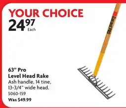 Home Hardware 63 Pro Level Head Rake offer
