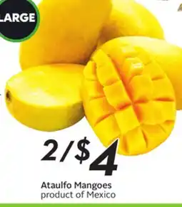 Sobeys Ataulfo Mangoes offer