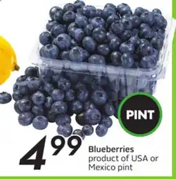 Sobeys Blueberries offer
