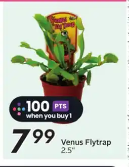 Sobeys Venus Flytrap offer