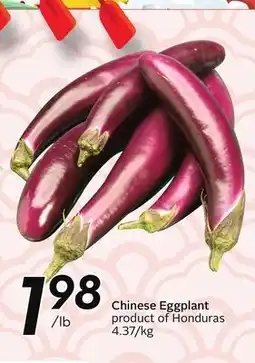 Sobeys Chinese Eggplant offer