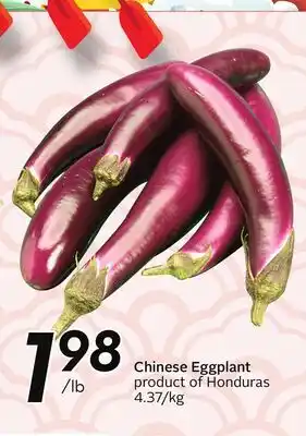 Sobeys Chinese Eggplant offer