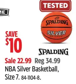 Canadian Tire NBA Silver Basketball offer