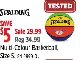 Canadian Tire Multi-Colour Basketball offer