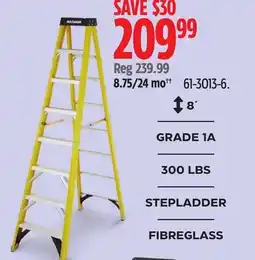 Canadian Tire Maximum STEPLADDER offer