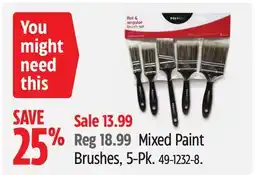 Canadian Tire Mixed Paint Brushes, 5-Pk offer