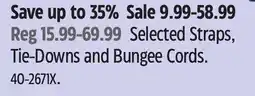 Canadian Tire Selected Straps, Tie-Downs and Bungee Cords offer