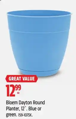 Canadian Tire Bloem Dayton Round Planter 12. Blue or green offer