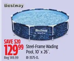 Canadian Tire Steel-Frame Wading Pool, 10' x 26 offer