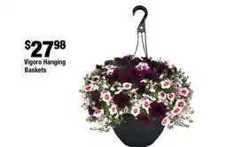 Home Depot Vigoro hanging baskets offer