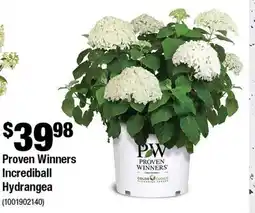 Home Depot Proven winners incrediball hydrangea offer