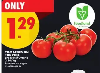 No Frills TOMATOES ON THE VINE offer
