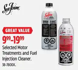 Canadian Tire Seafoam Selected Motor Treatments and Fuel Injection Cleaner offer