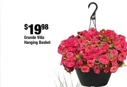Home Depot Grande villa hinging basket offer