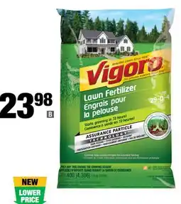 Home Depot Lawn Fertilizer offer