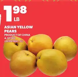 Loblaws ASIAN YELLOW PEAR offer