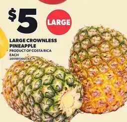 Loblaws LARGE CROWNLESS PINEAPPLE offer