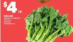Loblaws GAI LAN offer
