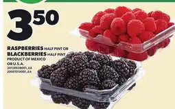 Loblaws RASPBERRIES HALF PINT OR BLACKBERRIES HALF PINT offer