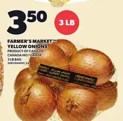 Loblaws FARMER'S MARKET YELLOW ONIONS, 3 LB BAG offer