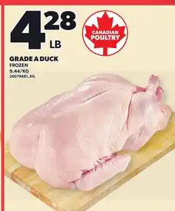 Loblaws GRADE A DUCK offer