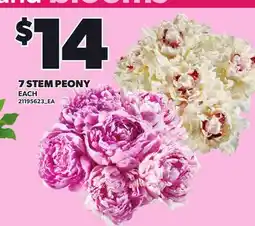Loblaws 7 STEM PEONY offer
