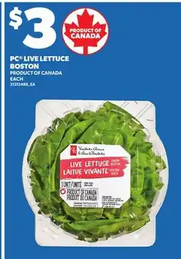 Loblaws PC LIVE LETTUCE BOSTON, EACH offer