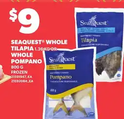 Loblaws SEAQUEST WHOLE TILAPIA, 1.36KG OR WHOLE POMPANO, 800 G offer