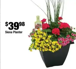 Home Depot Siena planter offer