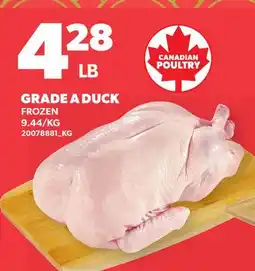Loblaws GRADE A DUCK offer