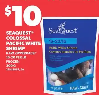 Loblaws SEAQUEST COLOSSAL PACIFIC WHITE SHRIMP offer