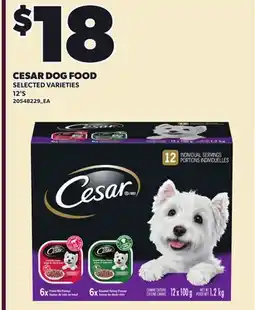 Loblaws CESAR DOG FOOD, 12'S offer