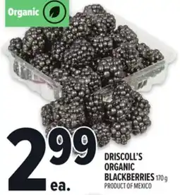 Metro DRISCOLL'S ORGANIC BLACKBERRIES offer