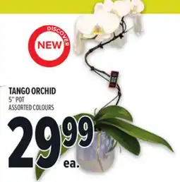 Metro TANGO ORCHID offer