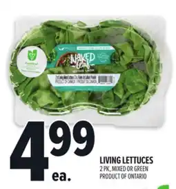 Metro LIVING LETTUCES offer