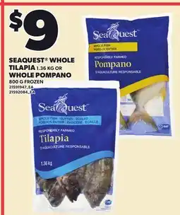Loblaws SEAQUEST WHOLE TILAPIA, 1.36 KG OR WHOLE POMPANO, 800 G offer