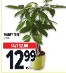 Metro MONEY TREE offer