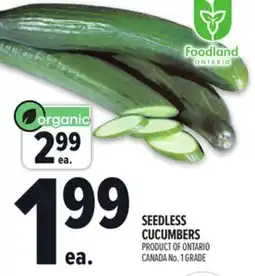 Metro SEEDLESS CUCUMBERS offer