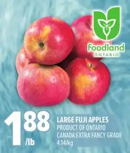 Metro LARGE FUJI APPLES offer