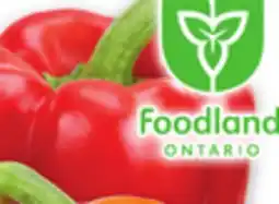 Metro LARGE RED, ORANGE OR YELLOW SWEET PEPPERS offer