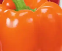 Metro LARGE RED, ORANGE OR YELLOW SWEET PEPPERS offer